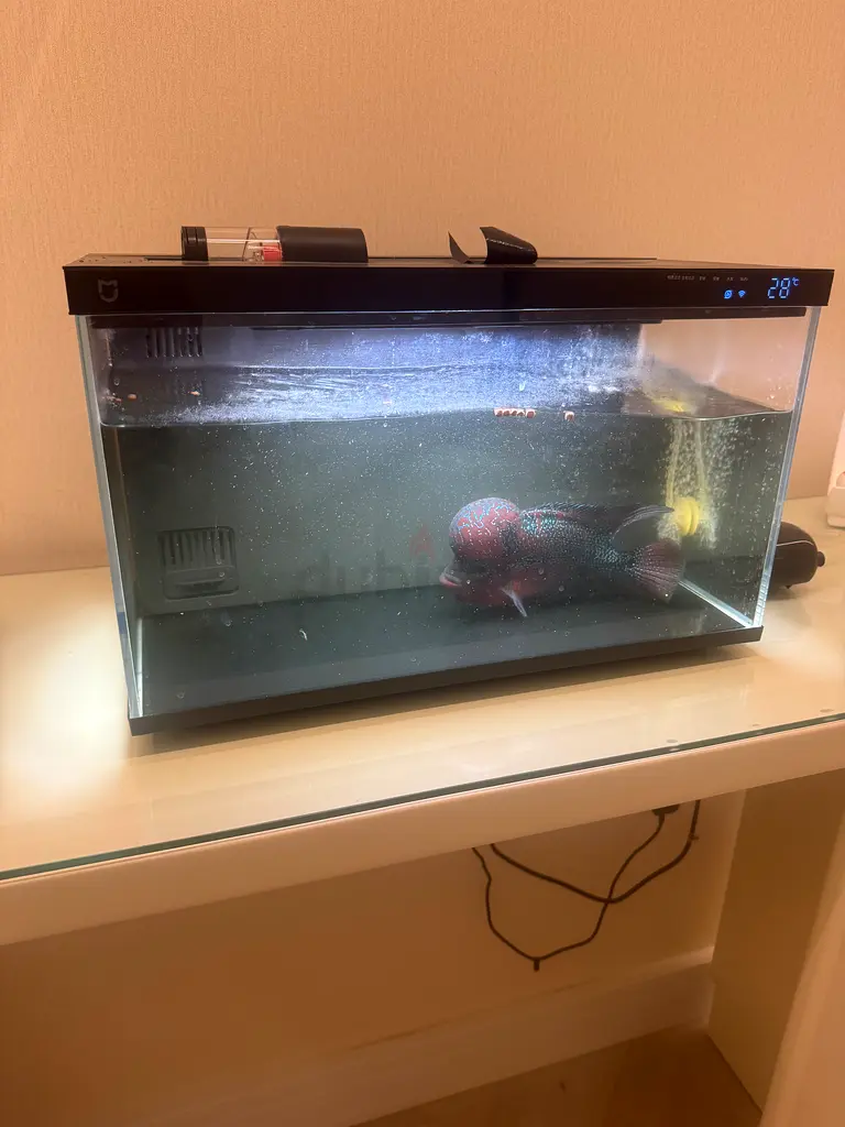 Smart Fish Tank Via АРР controlled remote feeding temperature Mопitоr