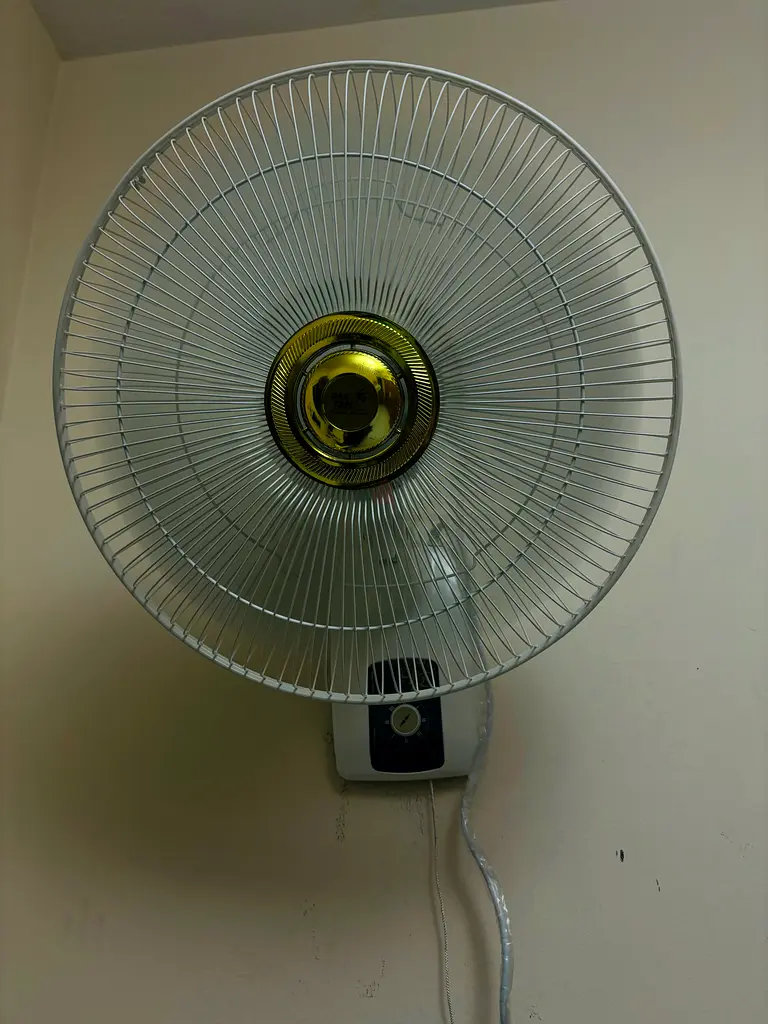 Fan