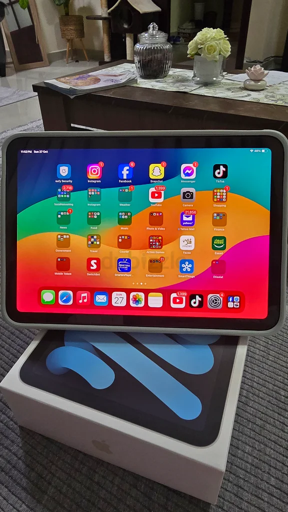 Apple iPad mini6 WiFi+cellular 256GB ピンク Ipad Mini 6 256GB Wifi