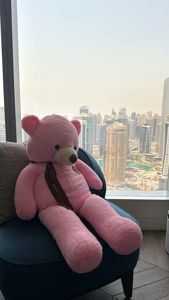 Teddy bear pink 100cm63205361987587114