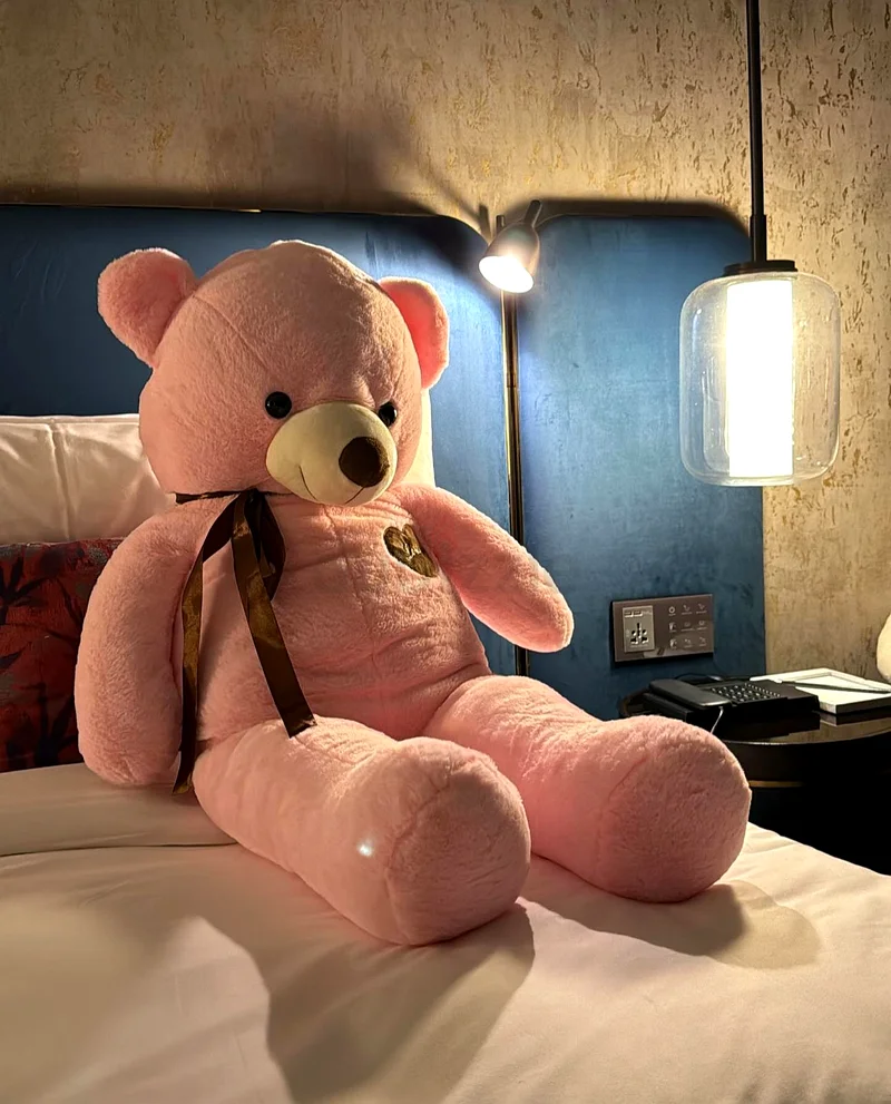 Teddy bear pink 100cm632053619875871126