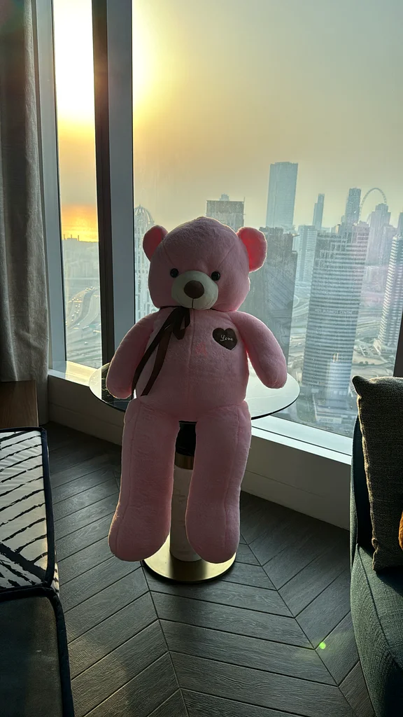 Teddy bear pink 100cm63205361987587112