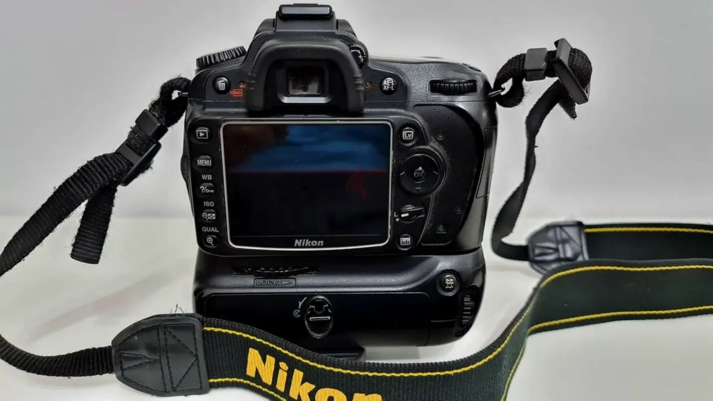 Nikon D9063234133755139111