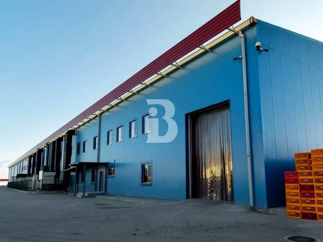 Warehouse PRE BOOKINGHAND OVER Q3 2025 COLD STORAGE Abu Dhabi