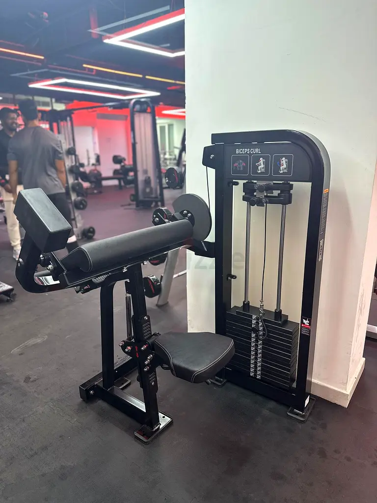 Biceps Curl63242166429057111