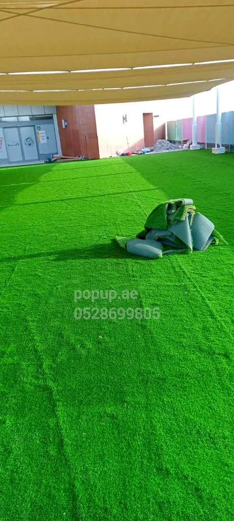 Artificial grass carpets!