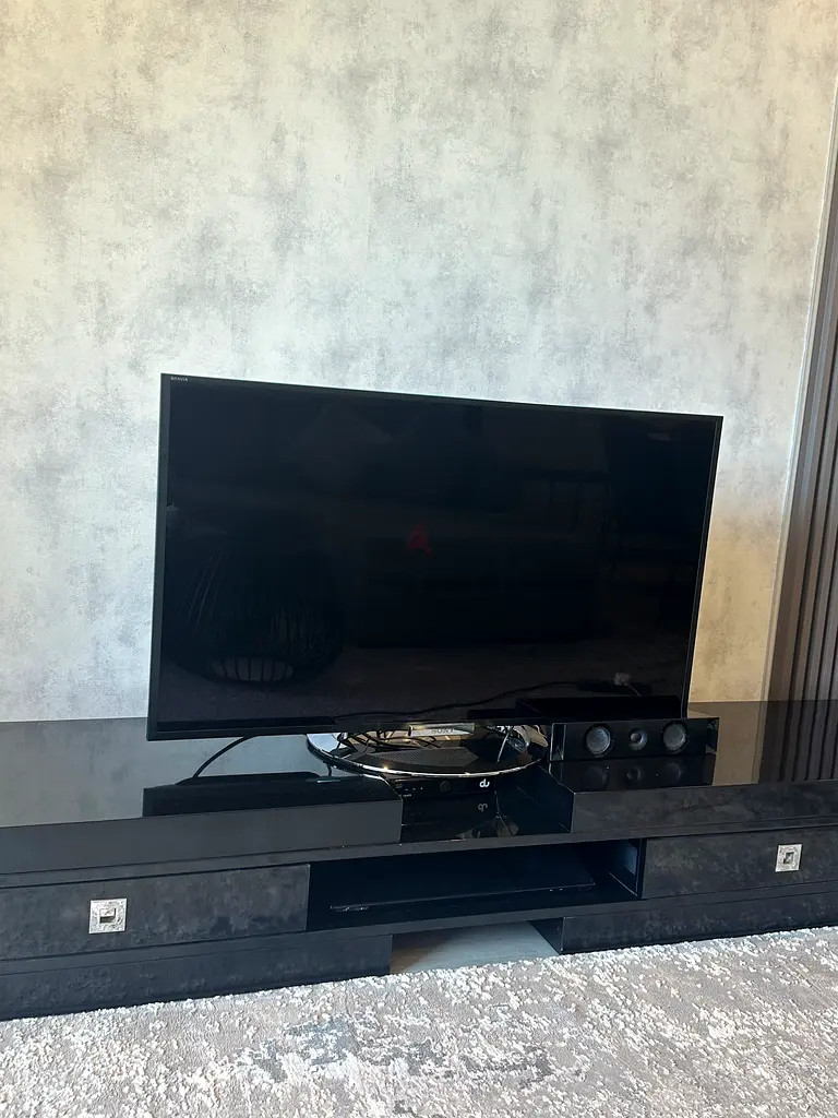 TV with speakers