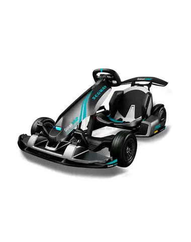 Ninebot Gokart PRO 2