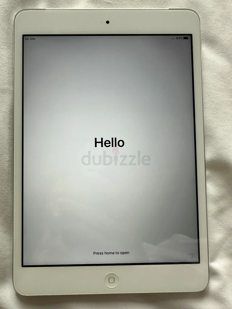 iPad mini 2