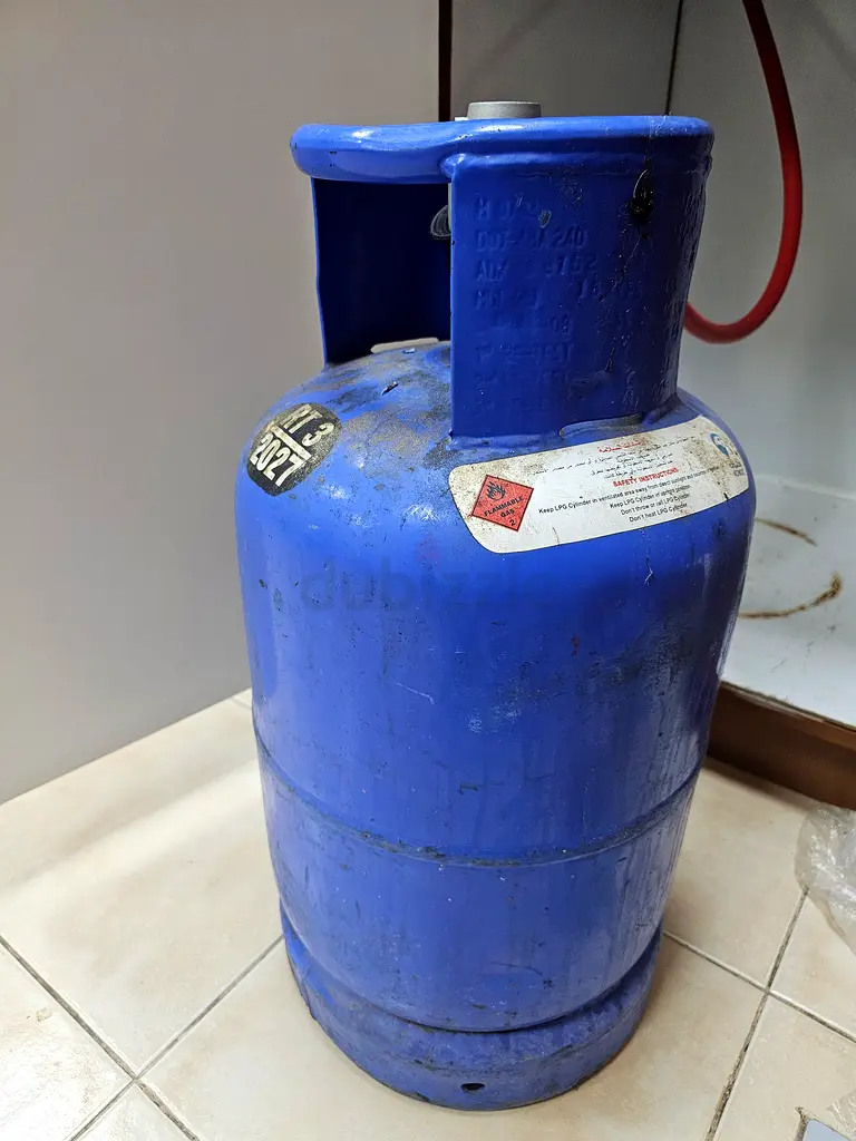 Gas cylinder with regulator and hose
