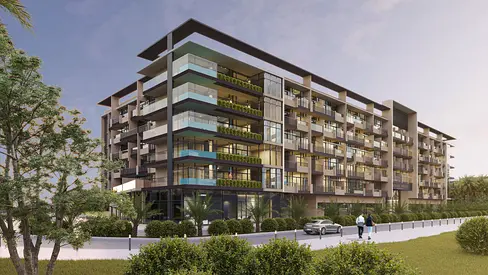 بيل ريف من زيمايا