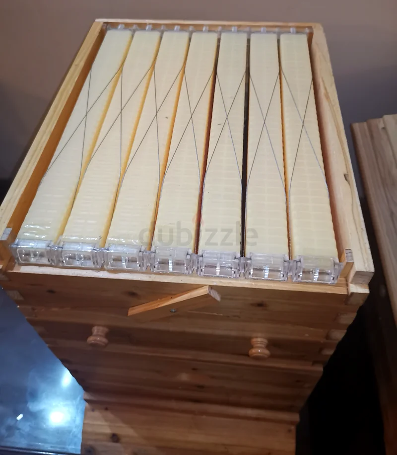 Automatic bee Hive box صندوق خلية نحل63220318712961111