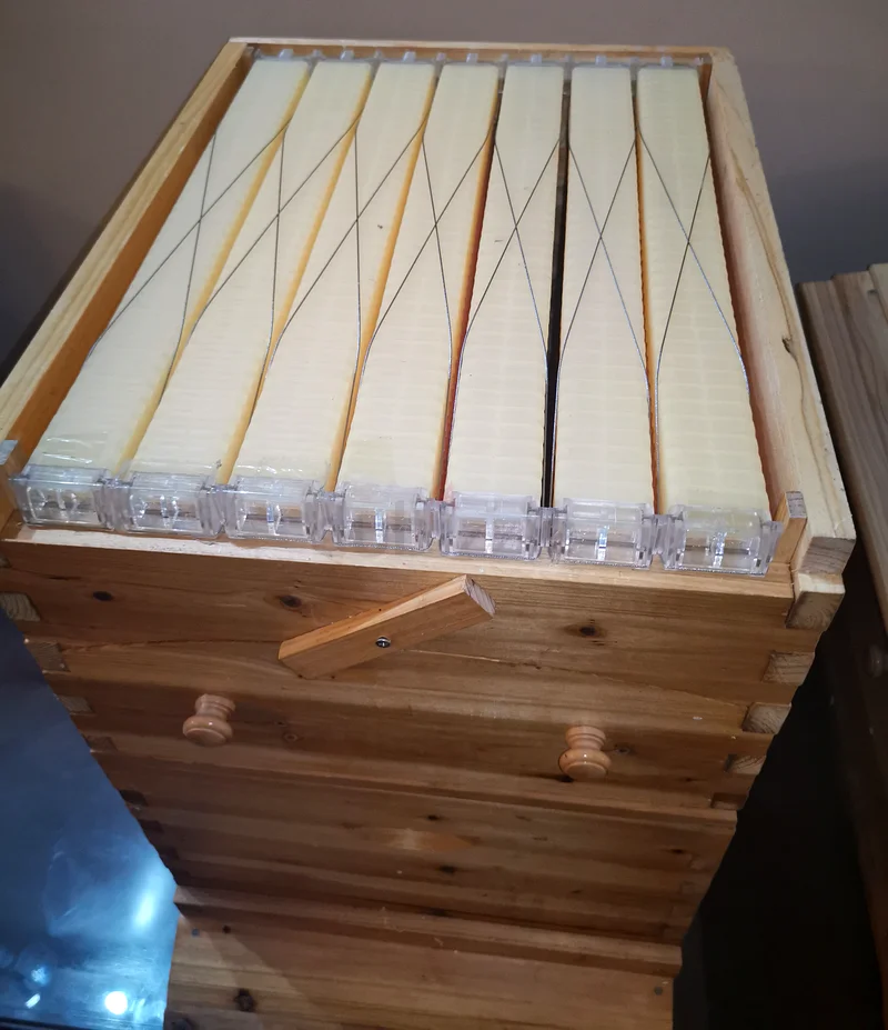 Automatic bee Hive box صندوق خلية نحل63220318712961113