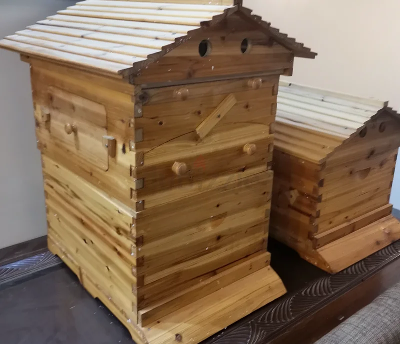 Automatic bee Hive box صندوق خلية نحل63220318712961114