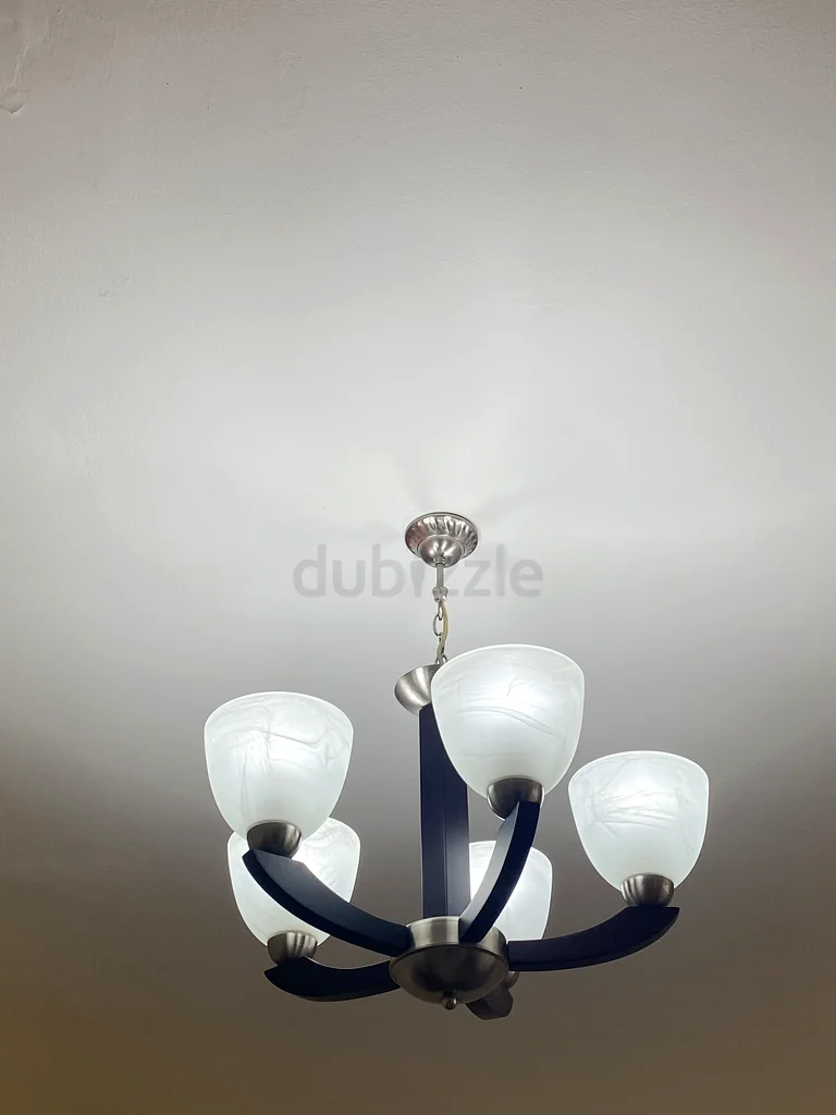 Light bulbs63187698914434114