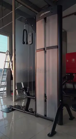 Life Fitness Bizeps Trizeps