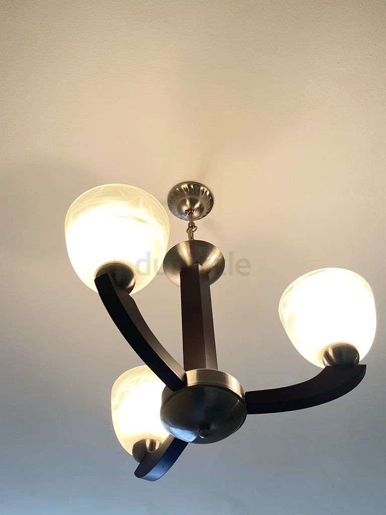 Light bulbs63187698914434113