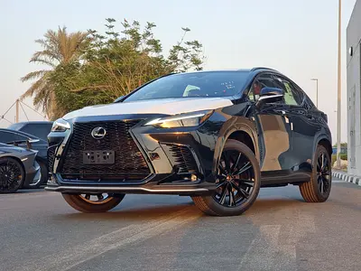 NX350 F-Sport 2024 - For Export