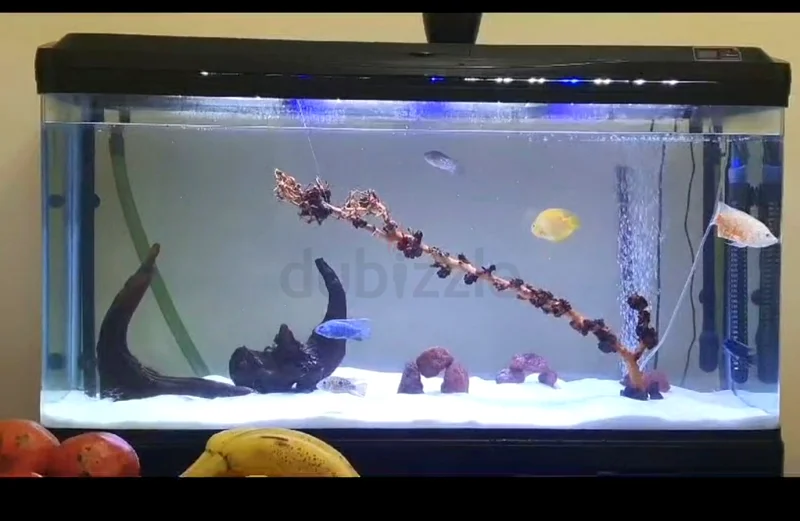 حوض أسماك مع جميع الملحقات.632336448727061128