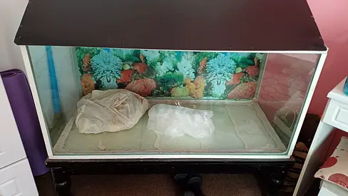 Fish aquarium for Sale at the reduced price