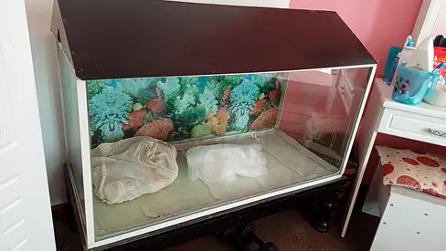 Fish aquarium for Sale at the reduced price