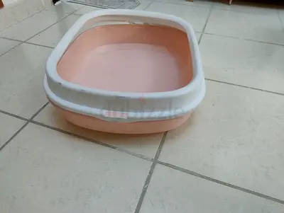 Cat litter box with scoop
