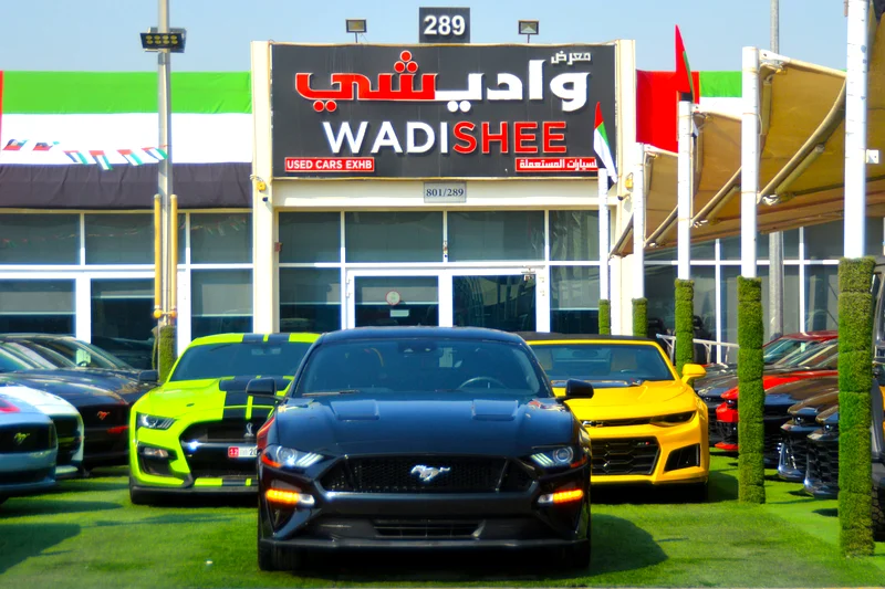 EID OFFERS -MUSTANG PERFORMANCE/DIGITAL /2022/IMPORT FROM KOREA63156539479171111