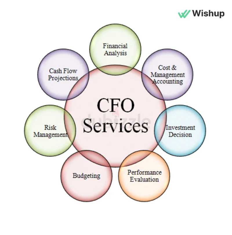 CFO | Business Plan I Financial Model I Startups62933699691651112