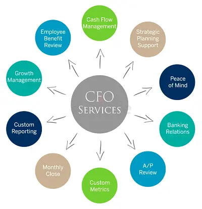 CFO | Business Plan I Financial Model I Startups