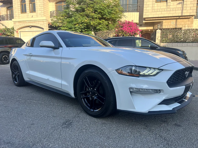 Ford Mustang Ecoboost63167557527170113