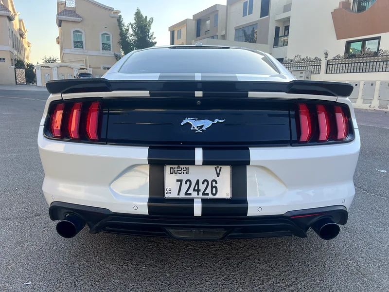 Ford Mustang Ecoboost63167557527170114