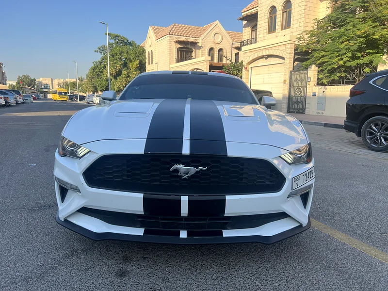 Ford Mustang Ecoboost63167557527170111