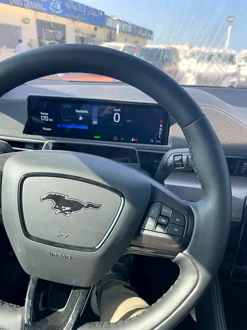 Ford Mustang Mach-E, миниатюра 13