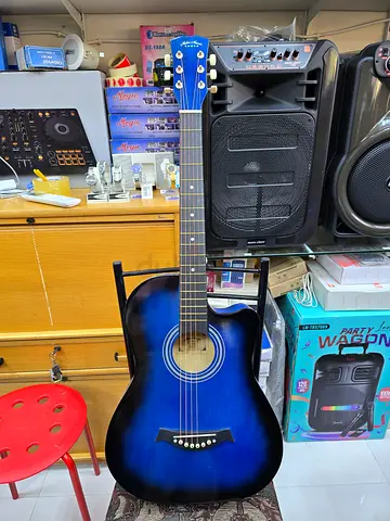 Acoustic guitar