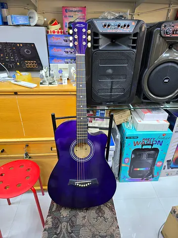 Acoustic guitar