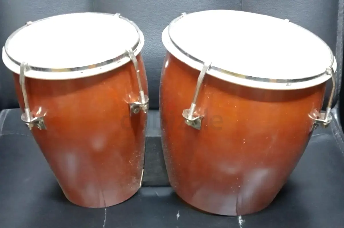 بونغوس صغيرة