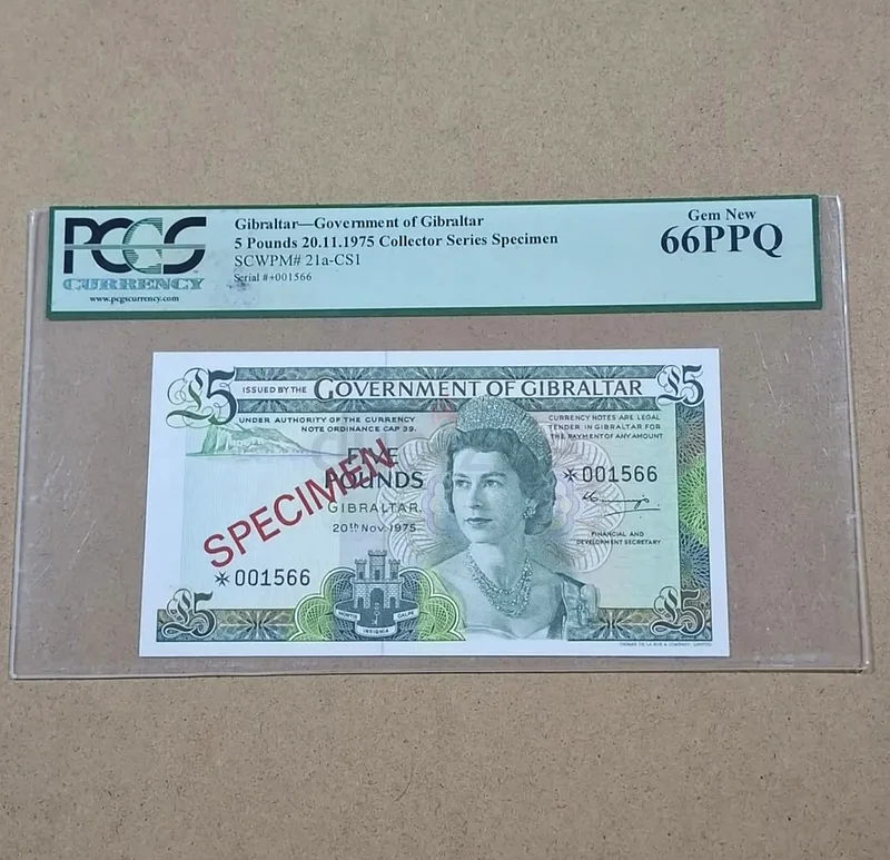 Gibraltar 5 pound specimen63264069119489110
