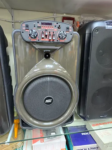 Party speaker