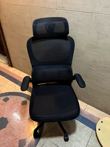 Office mesh chair with lumber support