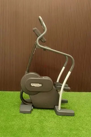 Technogym Stairs Stepper, With Unity Console - Used For Sale-