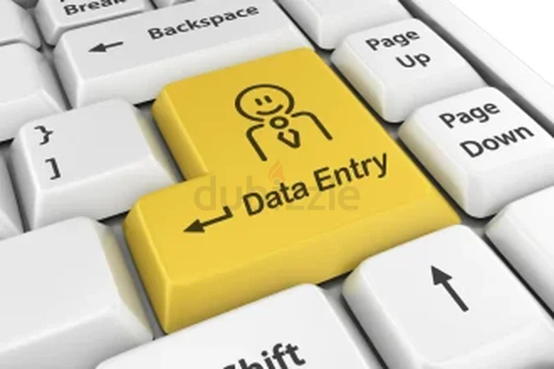 خدمات إدخال البيانات الاحترافية في برنامج MS Excel629327024821791115