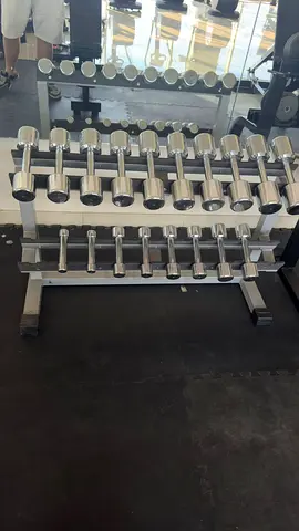 Technogym chrome dumbbells set with Rack