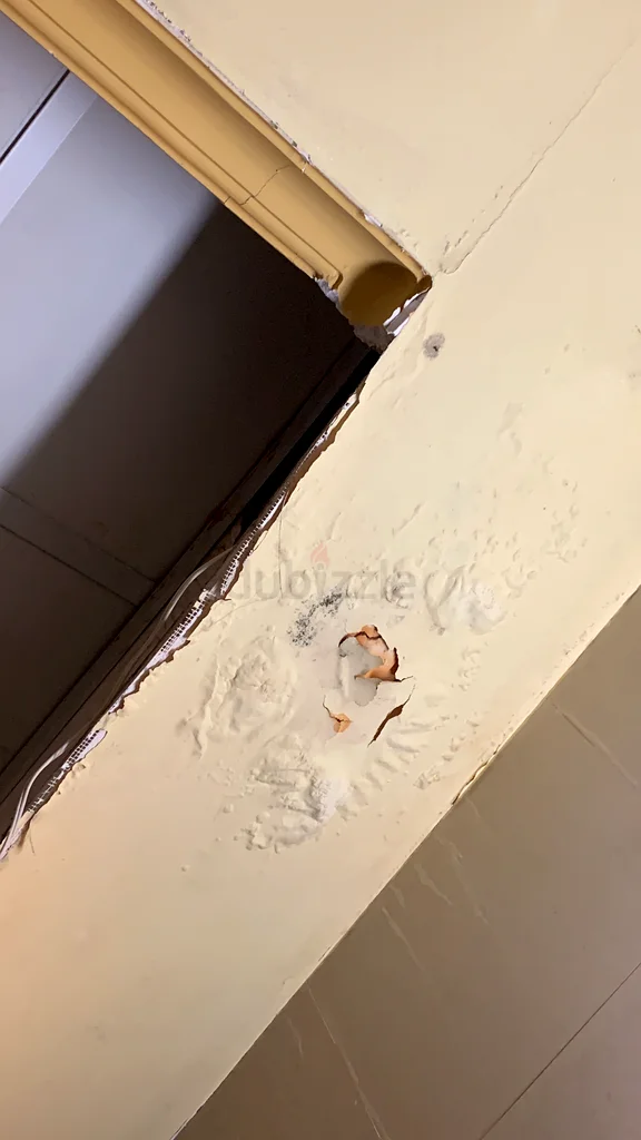 Home painting63217827936515113