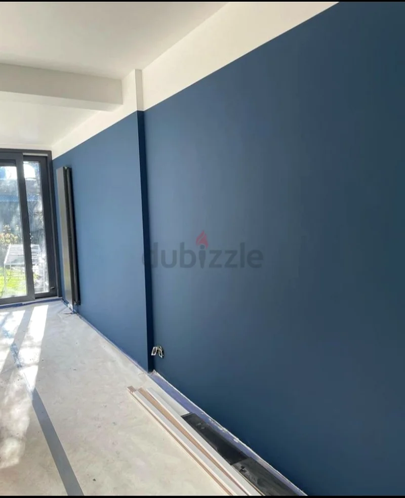 Home Maintenance paint work Interior and Exterior63216842504066111
