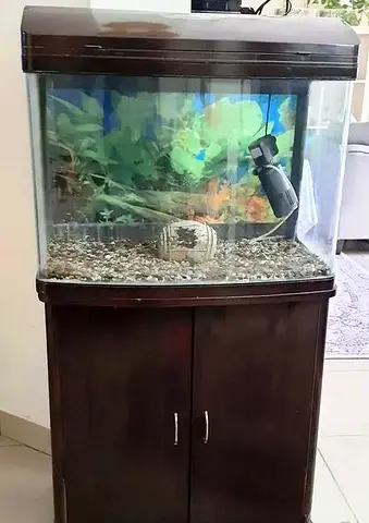 Aquarium with external filter for sweet or salt water