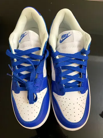 nike dunk blue shoes