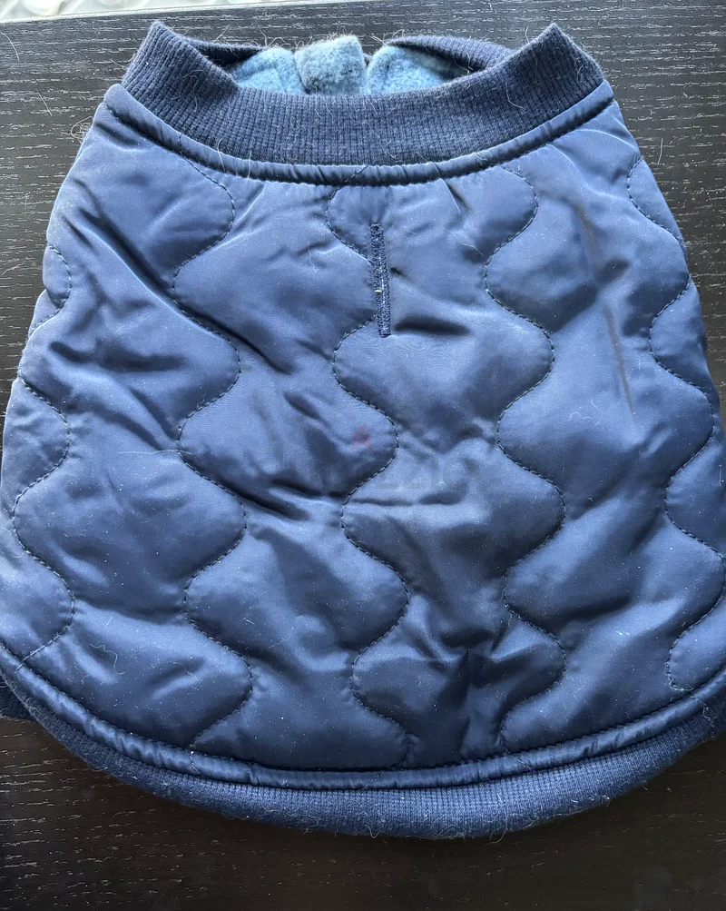 Zipper Jacket for small cat or dog63232643458435111