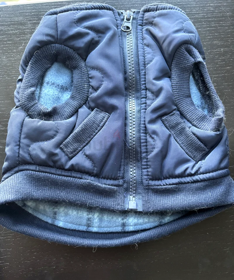 Zipper Jacket for small cat or dog632326434584351128