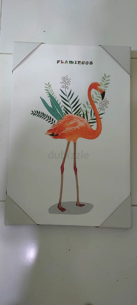 Photos and frames63265604442753112