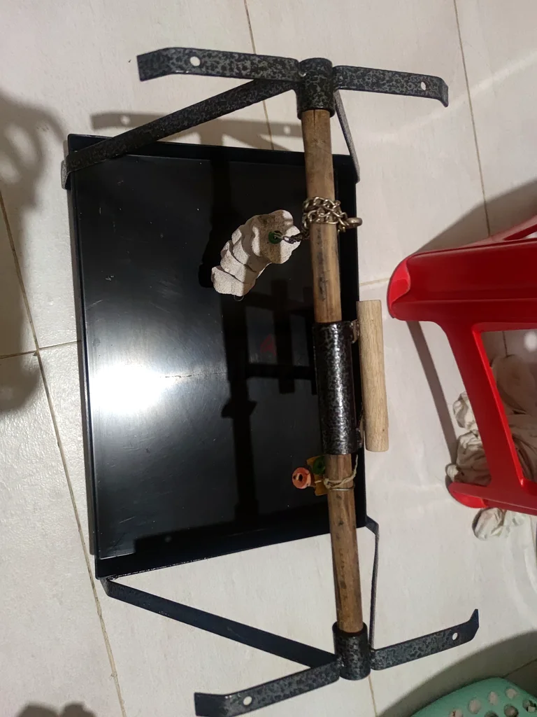 Bird play station Parrot62930653153283111
